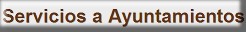 Servicios a Ayuntamientos